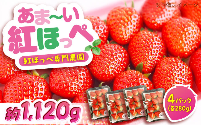 【2026年1月以降順次発送】先行予約　果物 【冷蔵】 こだわりの紅ほっぺ 280g 4パック 広島県福山市/立花いちご農園 いちご 苺 イチゴ 紅ほっぺ フルーツ 産地直送 [BAFN001]