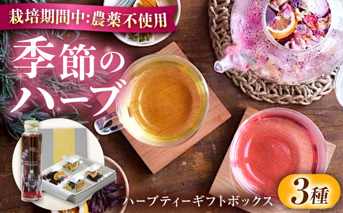 ローズハーバルティー＆ハイビスカスシロップ　ギフトセット　ハーブ ハーブティー 紅茶 ティー ハーブティ ティーバッグ エシカル レモングラス カモミール ハイビスカス バラ オレンジ 無農薬 オーガニック  広島県福山市/株式会社Herbal Style [BAFV001]