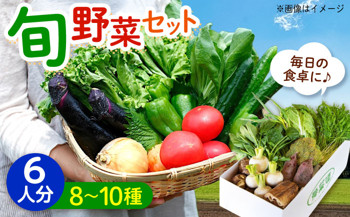 愛菜連のおまかせ野菜パック（６人用）野菜詰合せ 旬 旬の野菜 野菜セット 産地直送 ミネラル ビタミン 豊富　広島県福山市/マルフク株式会社 [BAFW002]
