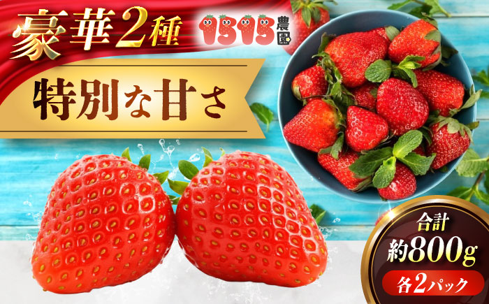 苺 「もういっこ・紅ほっぺ」200ｇ×4パックセット 広島県福山市/1515農園 もういっこ 紅ほっぺ いちご イチゴ セット　 [BAGD001]