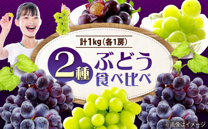 先行予約 【2026年9月中旬～9月下旬発送】 ぶどう食べ比べセット（ニューベリーA・シャインマスカット） 計1kg 広島県福山市/株式会社フジ・アグリフーズ ブドウ 食べ比べ セット ニューベリーA シャインマスカット [BAGF002]