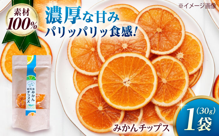 みかん 田尻産 みかんチップス 1袋 みかん 温州みかん 柑橘 完熟 ドライフルーツ ヘルシー おやつ スナック 菓子 広島県福山市/たかはし農園 [BAGS003]