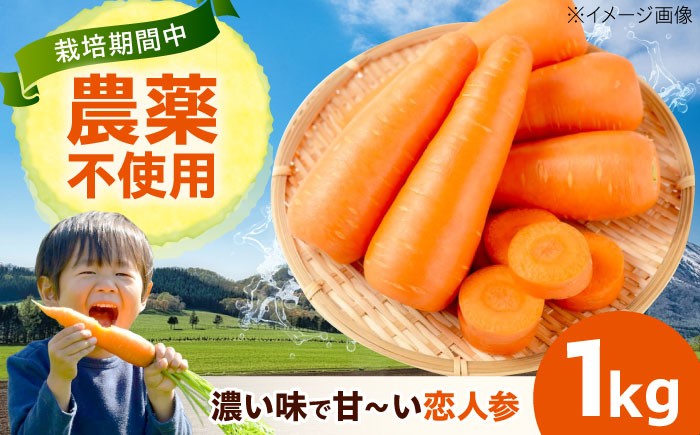 人参 1kg 人参 にんじん 野菜 やさい 旬の野菜 旬 季節 新鮮 採れたて 広島県福山市/しもみん農場 [BAGT002]