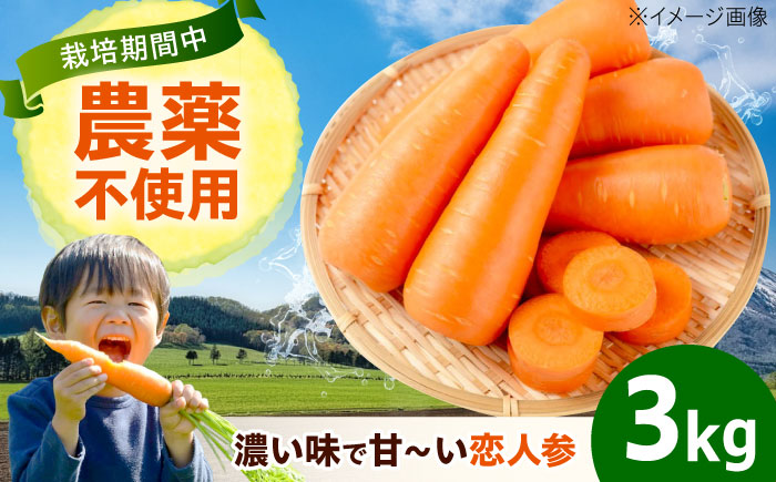 人参 3kg 人参 にんじん 野菜 やさい 旬の野菜 旬 季節 新鮮 採れたて 広島県福山市/しもみん農場 [BAGT003]