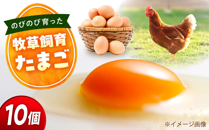 天心山 たまご 10個(10個入×1パック) 卵 たまご 高級 食品 たまごかけご飯 卵かけご飯 卵焼き 生卵 濃厚 ケーキ お菓子 づくり ランキング 上位 人気 おすすめ 広島県福山市/天心山ファーム [BABW012]