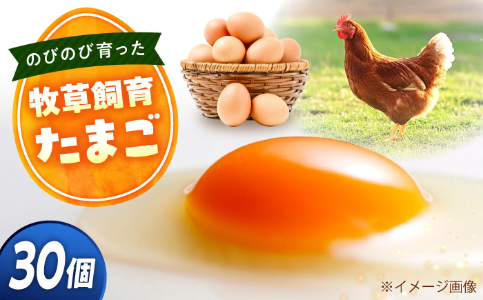 天心山 たまご 30個(10個入り×3パック) 卵 たまご 高級 食品 たまごかけご飯 卵かけご飯 卵焼き 生卵 濃厚 ケーキ お菓子 づくり ランキング 上位 人気 おすすめ 広島県福山市/天心山ファーム [BABW013]