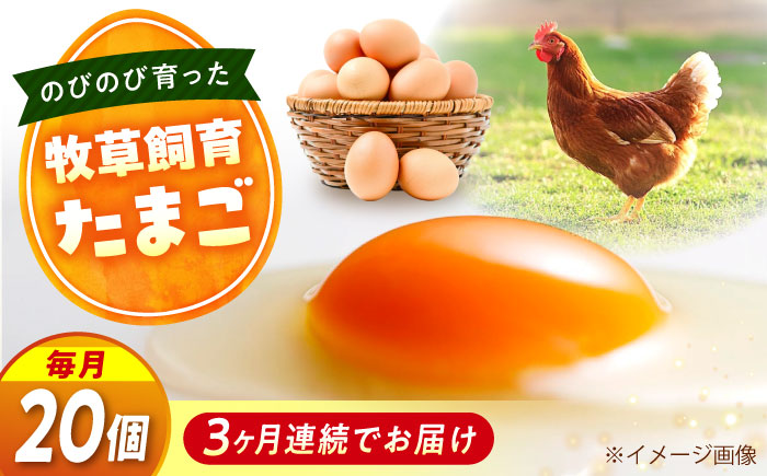 [全3回定期便]天心山 たまご20個(10個入り×2パック) 卵 たまご 高級 食品 たまごかけご飯 卵かけご飯 卵焼き 生卵 濃厚 ケーキ お菓子 づくり ランキング 上位 人気 おすすめ 定期便 広島県福山市/天心山ファーム [BABW018]
