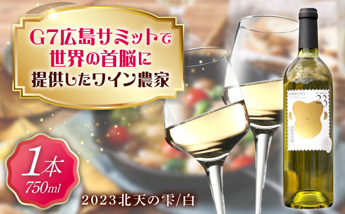 山野峡ワイン2023北天の雫 広島県福山市/株式会社福山健康舎(山野峡大田ワイナリー) 山野峡ワイン 福山 広島 ワイン 福山市 ぶどう ワイナリー [BADO009]