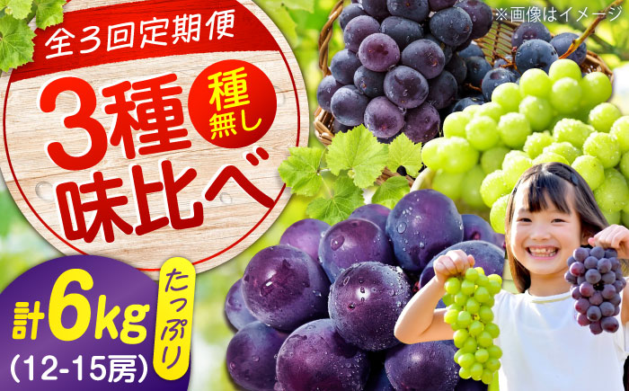 【全3回定期便】期間限定 贅沢3種の沼隈ぶどう定期便 各2kg (ピオーネ シャインマスカット ニューベリーA) 広島県福山市/福山市農業協同組合　沼隈グリーンセンター 種なし 大粒 [BAEV003]
