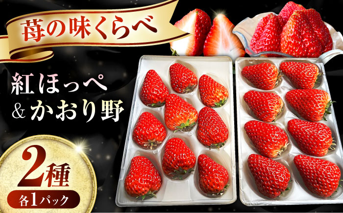 [2026年1月以降順次発送]先行予約 産地直送厳選「紅ほっぺ・かおり野」2パックセット(計270g以上)いちご イチゴ 苺 紅ほっぺ かおり野 ブランドイチゴ 人気 おすすめ ギフト 広島県福山市/びんごファーム [BAFY001]