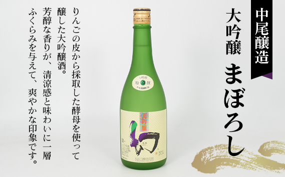 【びんご圏域連携】日本酒 飲み比べセット 天寶一「中汲み大吟醸40」（福山市）・醉心山根本店「純米大吟醸生地 名誉醉心」（三原市）・中尾醸造「大吟醸まぼろし」（竹原市）
