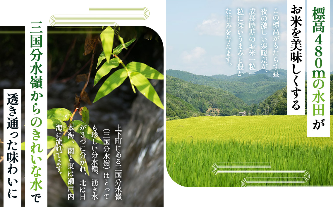 【四八米】酵素プレミアム　3kg