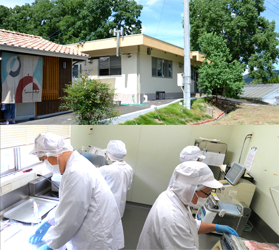 【びんご圏域連携】峠下牛ローストビーフと手作り焼豚の詰め合わせ