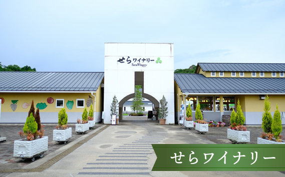 【びんご圏域連携】せらワイナリー・山野峡大田ワイナリー・瀬戸内醸造所 ワイン飲み比べセット