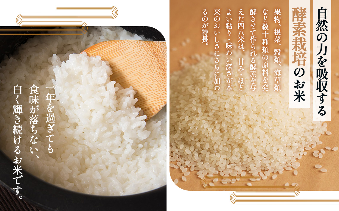 「お米のめん」セット 酵素で培った四八米 白米麺　グルテンフリー 1kg