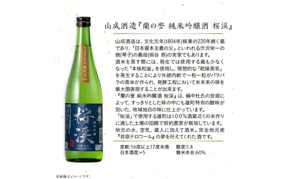 【びんご圏域連携】備後の日本酒『純米吟醸酒』飲み比べセット
