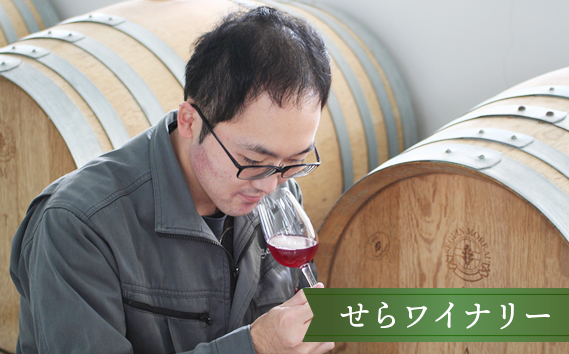 【びんご圏域連携】せらワイナリー・山野峡大田ワイナリー・瀬戸内醸造所 ワイン飲み比べセット