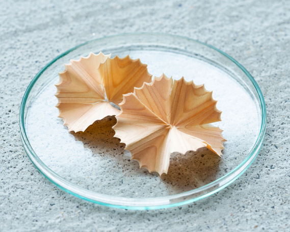 木聞器ウォールナット製杯型香筆シャープナー【スペシャルセット】500g