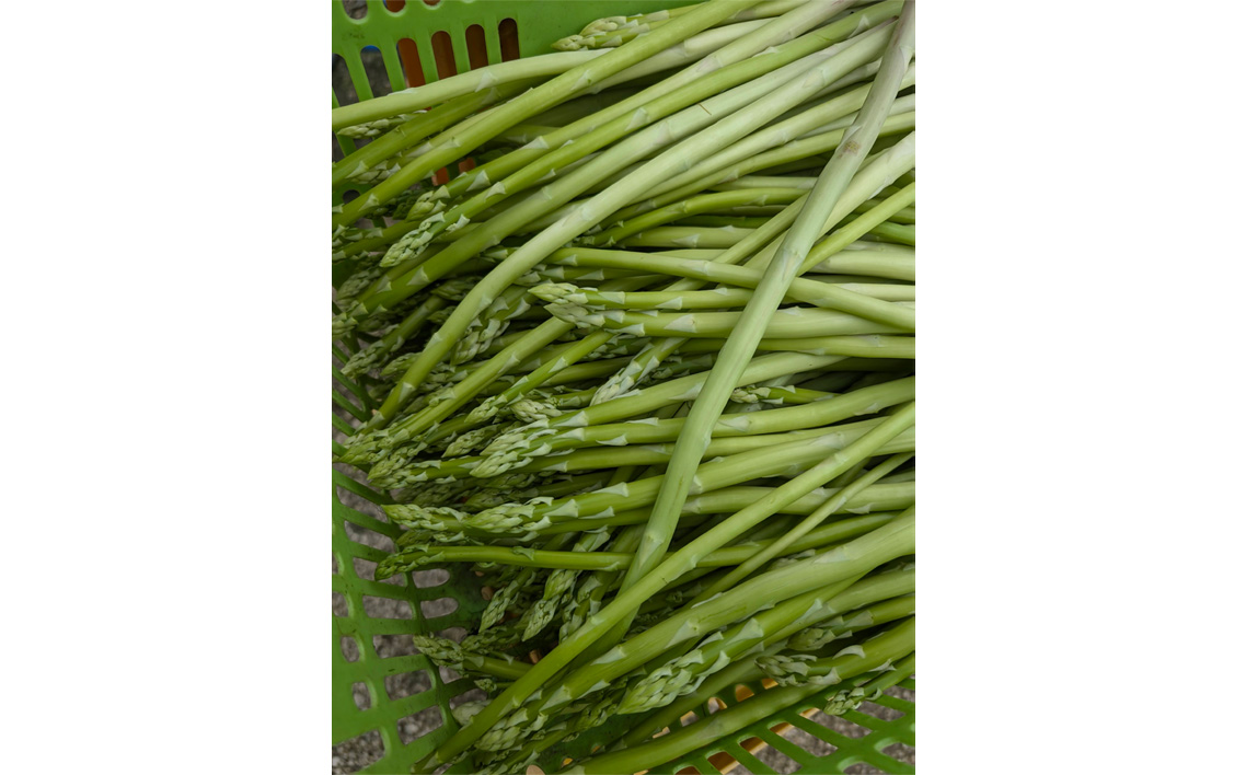 アスパラガス 390g