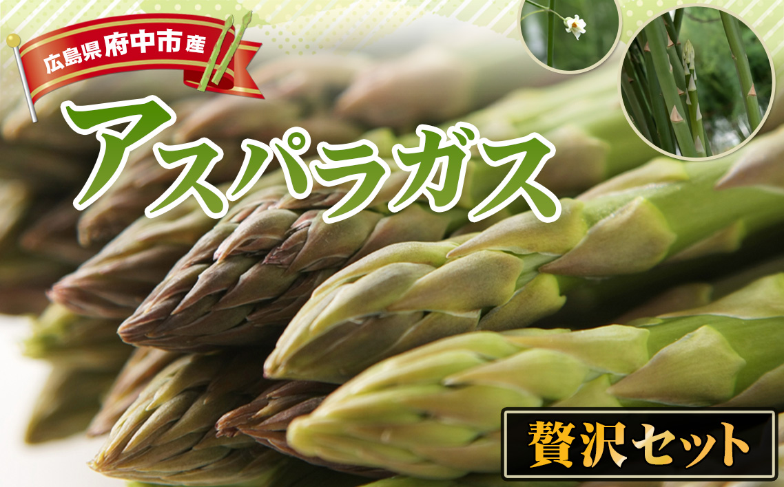 アスパラガスの贅沢セット