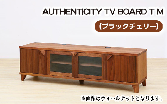 （CH）AUTHENTICITY TV BOARD T M