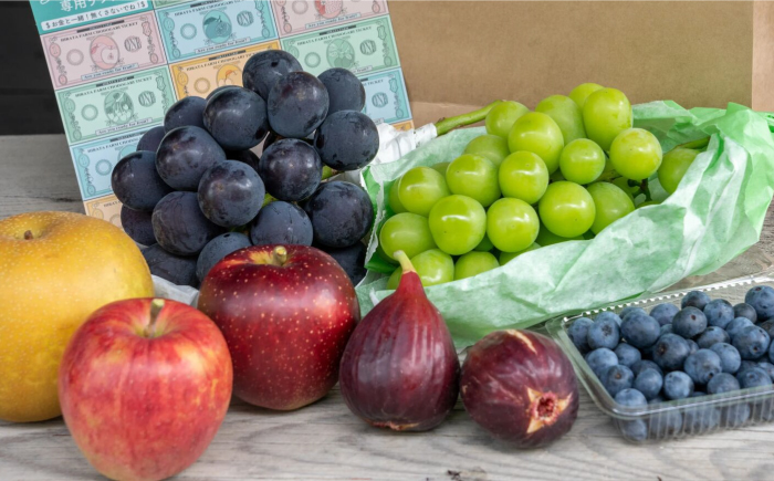 季節の果物狩り 体験チケット（2名様分） フルーツ狩り 親子 子連れ ファミリー 食べ比べ 三次市/平田観光農園 [APAA001]