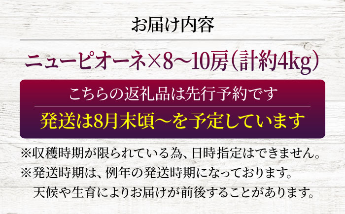 【2026年先行予約】 三次の葡萄 ニューピオーネ（約4kg／8から10房）＜8月下旬頃から順次発送＞ 三次市 / 黒瀬ぶどう園 [APAB004]