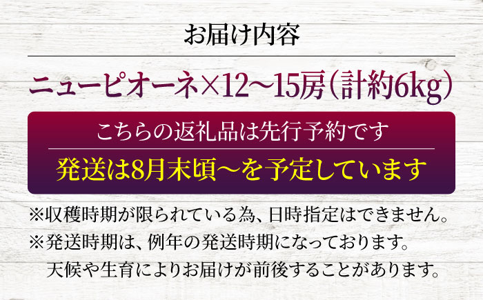 【2026年先行予約】 三次の葡萄 ニューピオーネ（約6kg／12から15房） ＜8月下旬頃から順次発送＞ 三次市 / 黒瀬ぶどう園 [APAB005]