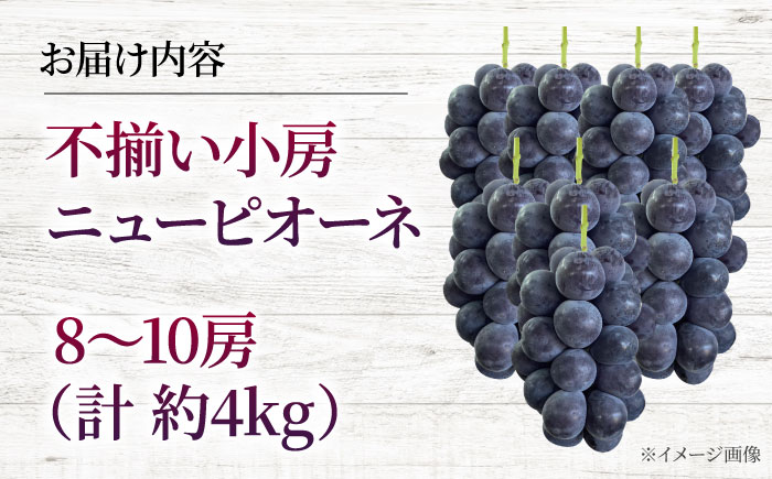 【2026年先行予約】 不揃い 三次のぶどう ニューピオーネ（約4kg／8から10房）＜8月下旬頃から順次発送＞ 小房 三次市 / 黒瀬ぶどう園 [APAB006]