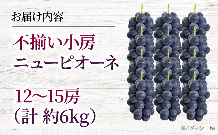 【2026年先行予約】 不揃い 三次のぶどう ニューピオーネ（約6kg／12から15房） ＜8月下旬頃から順次発送＞ 小房 三次市 / 黒瀬ぶどう園 [APAB007]