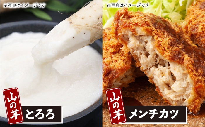 【冷凍】山の芋元気セット （ とろろ コロッケ メンチカツ しゅうまい ） 山芋 とろろ 冷凍 やまいも 長芋 長いも 野菜 健康 三次市/吉舎食品 [APAD001]