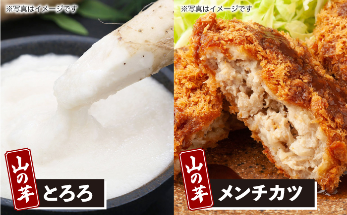 【全3回定期便】【冷凍】山の芋元気セット （ とろろ コロッケ メンチカツ しゅうまい ） 山芋 とろろ 冷凍 やまいも 長芋 長いも 野菜 健康 三次市/吉舎食品 [APAD003]