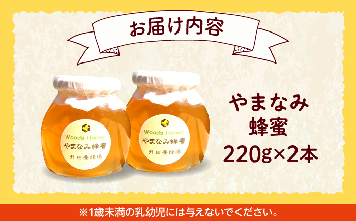 升田養蜂場の国産純粋はちみつ やまなみ蜂蜜2本セット 220g2本入 非加熱 香料無添加 ハニー お取り寄せ グルメ 産地直送 ふるさと納税 ギフト 贈答 プレゼント 広島県産 スーパーフード パンケーキ ヨーグルト 三次市/升田養蜂場 [APAE001]