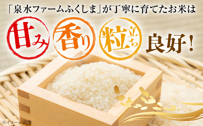 【令和7年産新米】すぐ届く！ 泉水の米 こしひかり 10kg （5kg×2袋） 白米 お米 ご飯 コシヒカリ 三次市 / 泉水ファームふくしま [APAJ008]