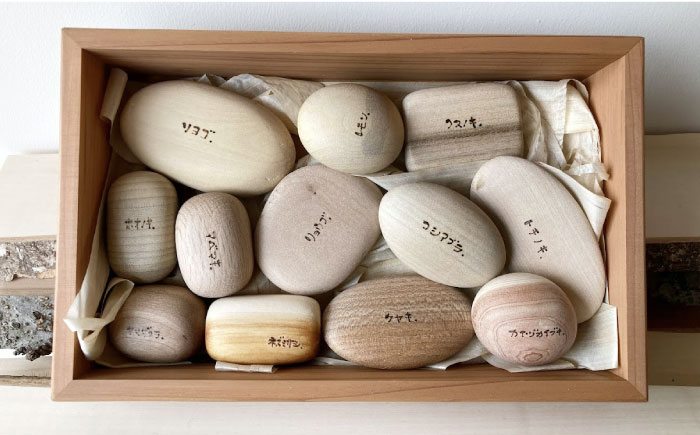 森のこころん12樹種セット  知育 おもちゃ 玩具 木製  三次市/ 一場木工所 [APAL015]