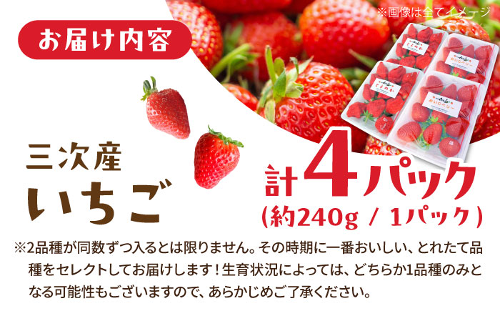 【2月上旬から4月上旬順次発送】 いちご 小さなくだもの畑のいちご4パック イチゴ フルーツ ストロベリー 苺 果物 三次市/小さなくだもの畑 [APAQ002]