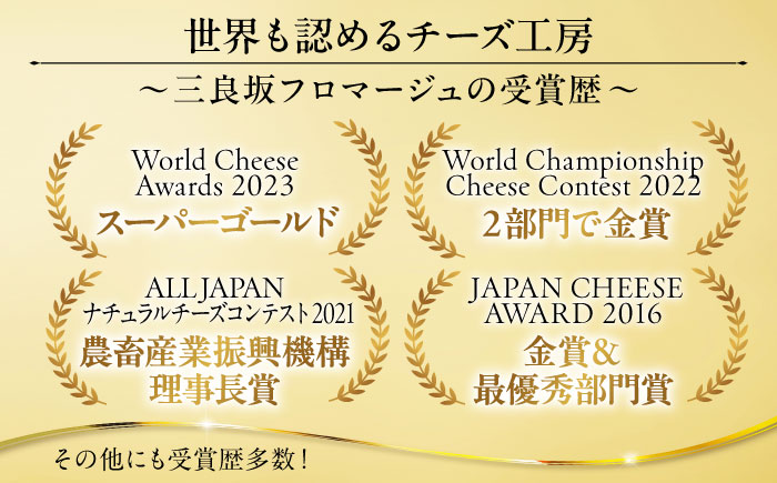 三良坂フロマージュセット ヨーグルト 牛乳 乳製品 発酵食品 脂肪 脂肪 プレーン 国産 スイーツ デザート セット 食べ比べ 手作り ドリンク アイス お取り寄せせ ギフト 贈答 プレゼント 三次市/三良坂フロマージュ [APAV004]