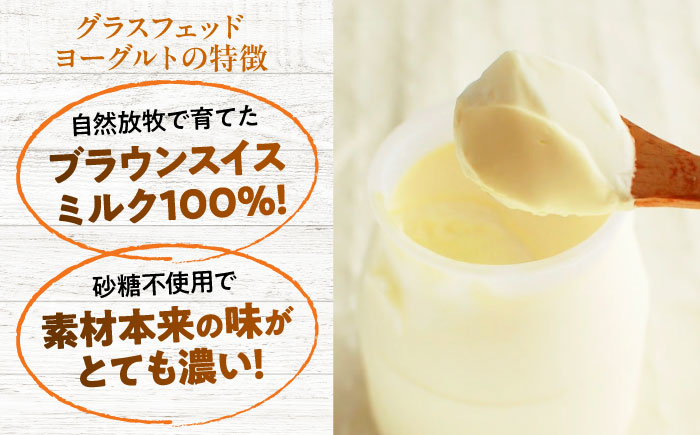 【全6回定期便】三良坂フロマージュのヨーグルトセット 3個入 牛乳 乳製品 発酵食品 脂肪 脂肪 プレーン 国産 スイーツ デザート セット 食べ比べ 手作り ドリンク アイス お取り寄せせ ギフト 贈答 プレゼント 三次市/三良坂フロマージュ [APAV008]
