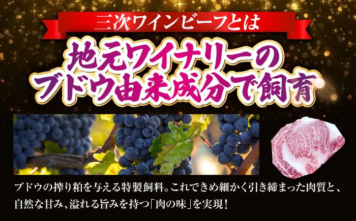 肉 三次ワインビーフ リブロース ステーキ 250g （250g×1枚） 厚切り 黒毛和牛 ロース お肉 牛肉 ステーキ 焼肉 国産 焼き肉 三次市/三次ワインビーフ みーとのば [APAX016]