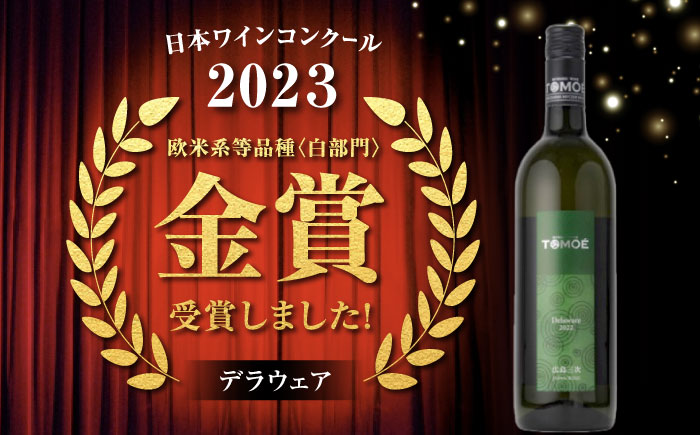 TOMOE 白ワイン 2本セット B シャルドネ リザーブ 辛口 デラウェア ワイン 受賞 飲み比べ ワインセット ギフト 三次市/広島三次ワイナリー [APAZ017]