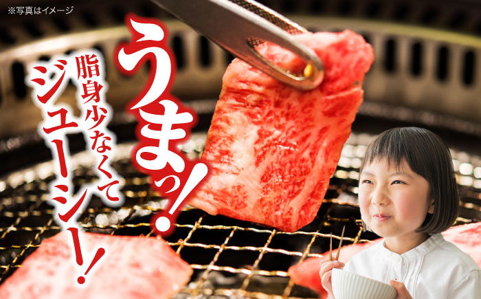 【全12回定期便】広島牛 ロース肉 焼肉用 300g 三次市 / 広島三次ワイナリー [APAZ080]