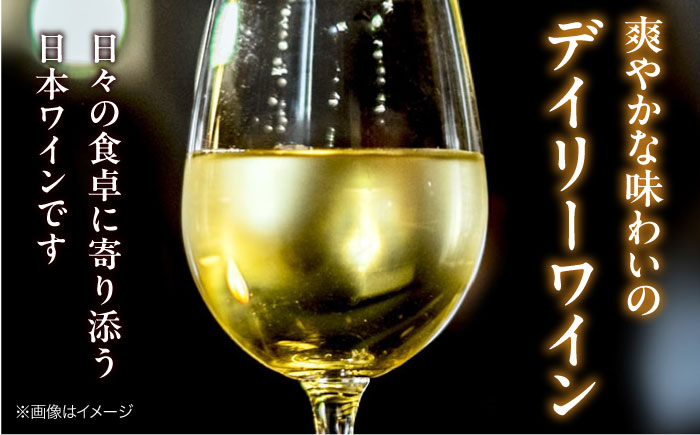 燦來 ～きら～ KIRA 750ml×1本 白ワイン ワイン やや辛口 ギフト 広島 三次 酒 国産ワイン 日本ワイン 三次市 / 広島三次ワイナリー [APAZ123]