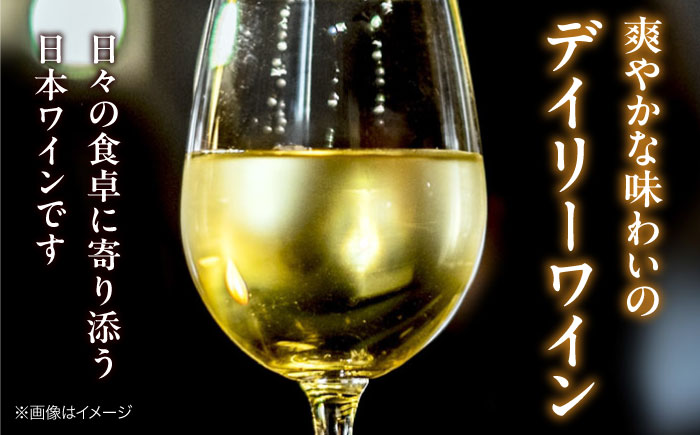 【全3回定期便】 燦來 ~きら~ KIRA 750ml×1本 白ワイン ワイン やや辛口 ギフト 広島 三次 酒 国産ワイン 日本ワイン 三次市 / 広島三次ワイナリー [APAZ129]