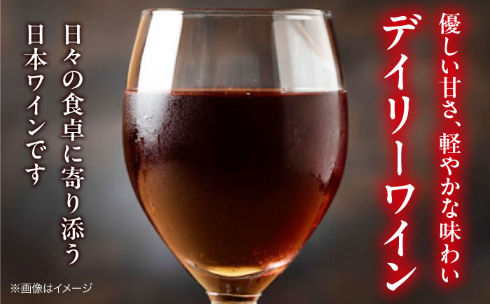 【全2回定期便】 榴 ~りゅう~ RYU 750ml×1本 赤ワイン ワイン やや甘口 ギフト 広島 三次 酒 国産ワイン 日本ワイン 三次市 / 広島三次ワイナリー [APAZ137]