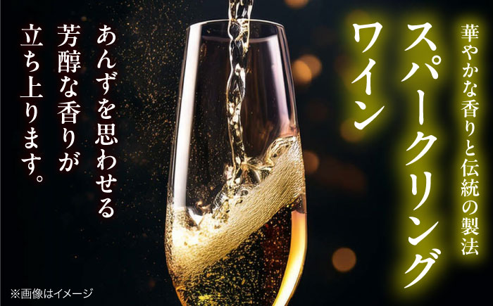 VILLAQUA -イエロー- 750ml×3本 白ワイン ワイン スパークリングワイン 発泡性 辛口 ギフト 広島 三次 酒 三次市 / 広島三次ワイナリー [APAZ150]