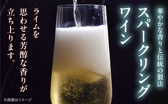 VILLAQUA -グリーン- 750ml×2本 白ワイン ワイン スパークリングワイン 発泡性  辛口 ギフト 広島 三次 酒 三次市 / 広島三次ワイナリー [APAZ152]