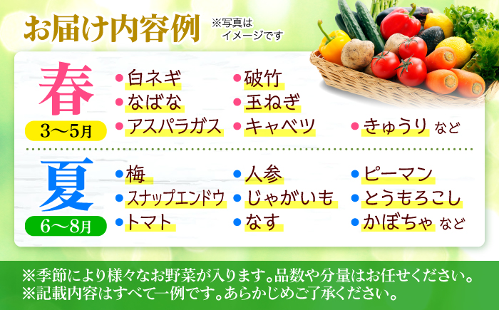 厳選！農夫のお野菜セット 旬の野菜 7品目以上 詰め合わせ 野菜セット 新鮮 食材 三次市/布野特産センター [APBA001]
