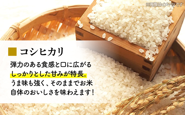 【10月～3月末発送】布野町産 コシヒカリ と お餅セット（コシヒカリ3kg＆平もち10枚入り3袋）国産 米 お米 白米 もち 三次市/布野特産センター [APBA002]