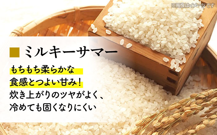 【すぐ届く】令和6年産 米 ミルキーサマー 5kg 白米 お米 ご飯 国産 広島 三次市 / 布野特産センター [APBA030]