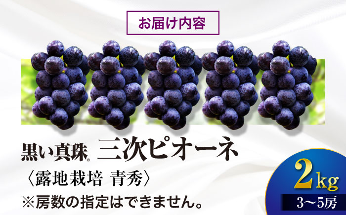 【先行予約】【8月下旬以降順次発送】 三次ピオーネ 露地栽培 青秀 2kg （3～5房） 30セット限定 ぶどう ピオーネ 葡萄 ブドウ フルーツ 果物 三次市 / 三次ピオーネ生産組合 [APBD002]